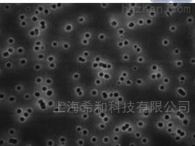 HTBP04700MILLIPORE聚碳酸酯0.4微米孔径过滤膜-黑色