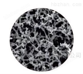 硝酸纤维素( NC 膜 )10400106  8.0um 微孔滤膜